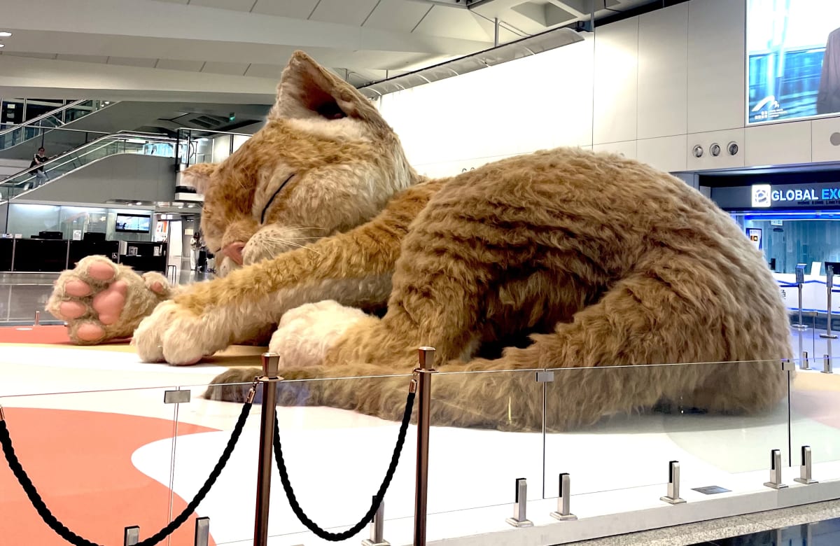Giant 26-Foot Cat Naps Inside Hong Kong Airport - Image 4