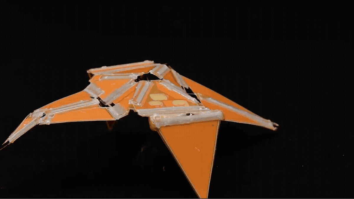 Princeton Robot Moves Like Origami Using Only Heat - Image 5