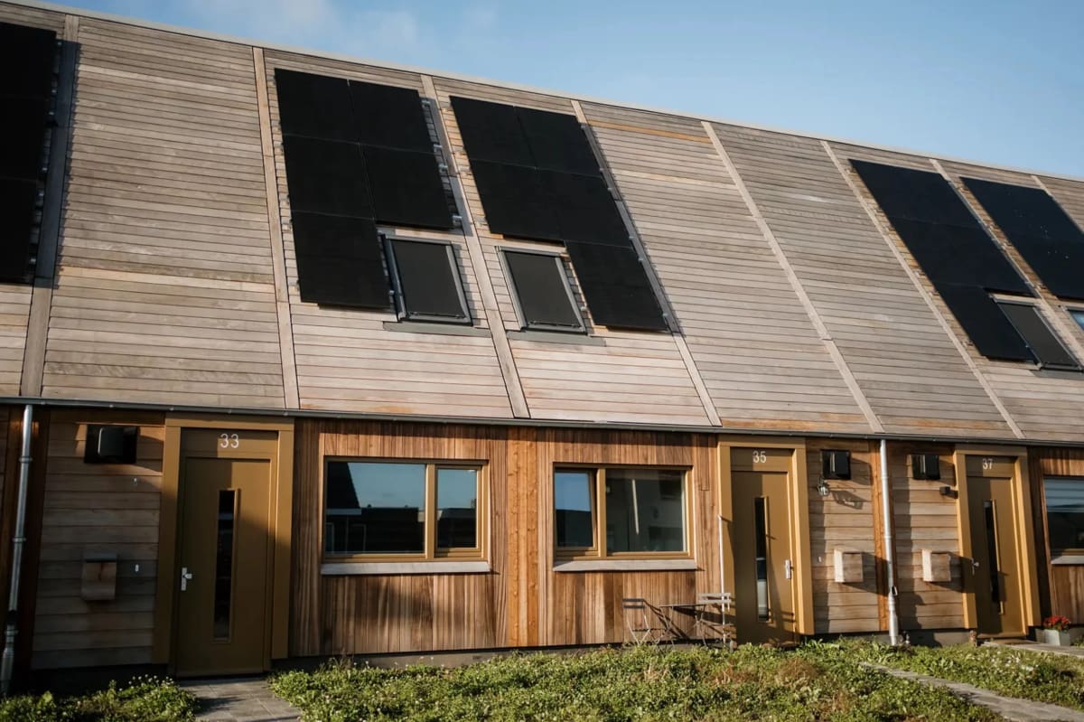 Dutch Timber Homes Store More Carbon Than They Produce - Image 2