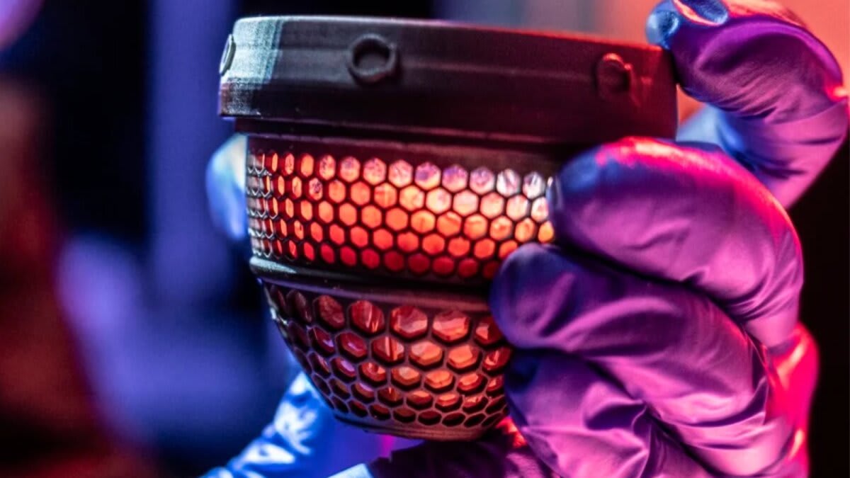 Texas Company Hatches Chicks From Artificial Eggs - Image 2