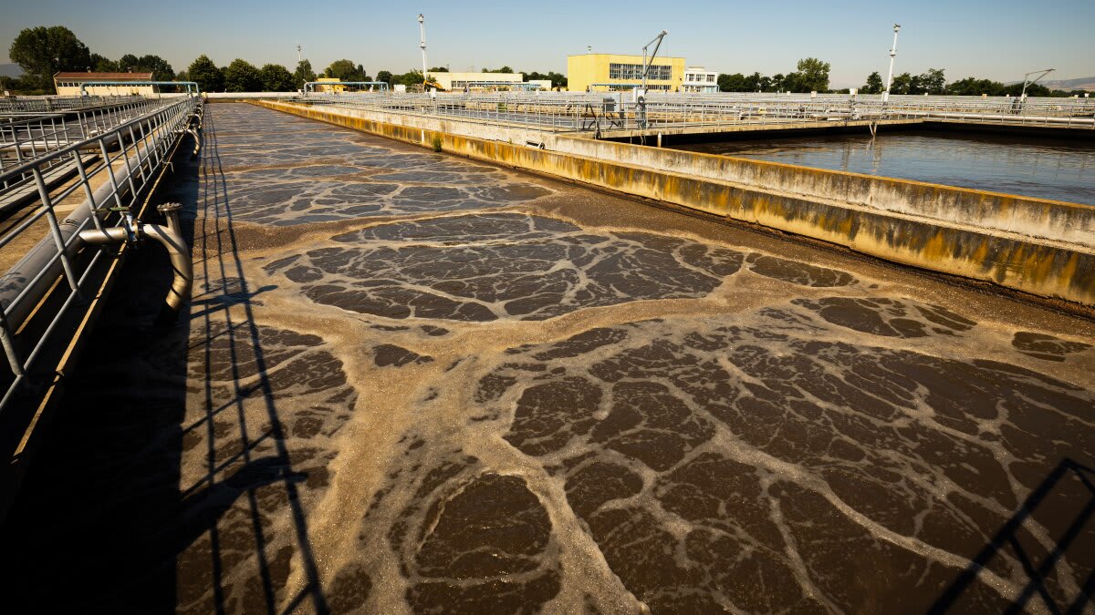 WSU Scientists Triple Biogas from Sewage Sludge - Image 2