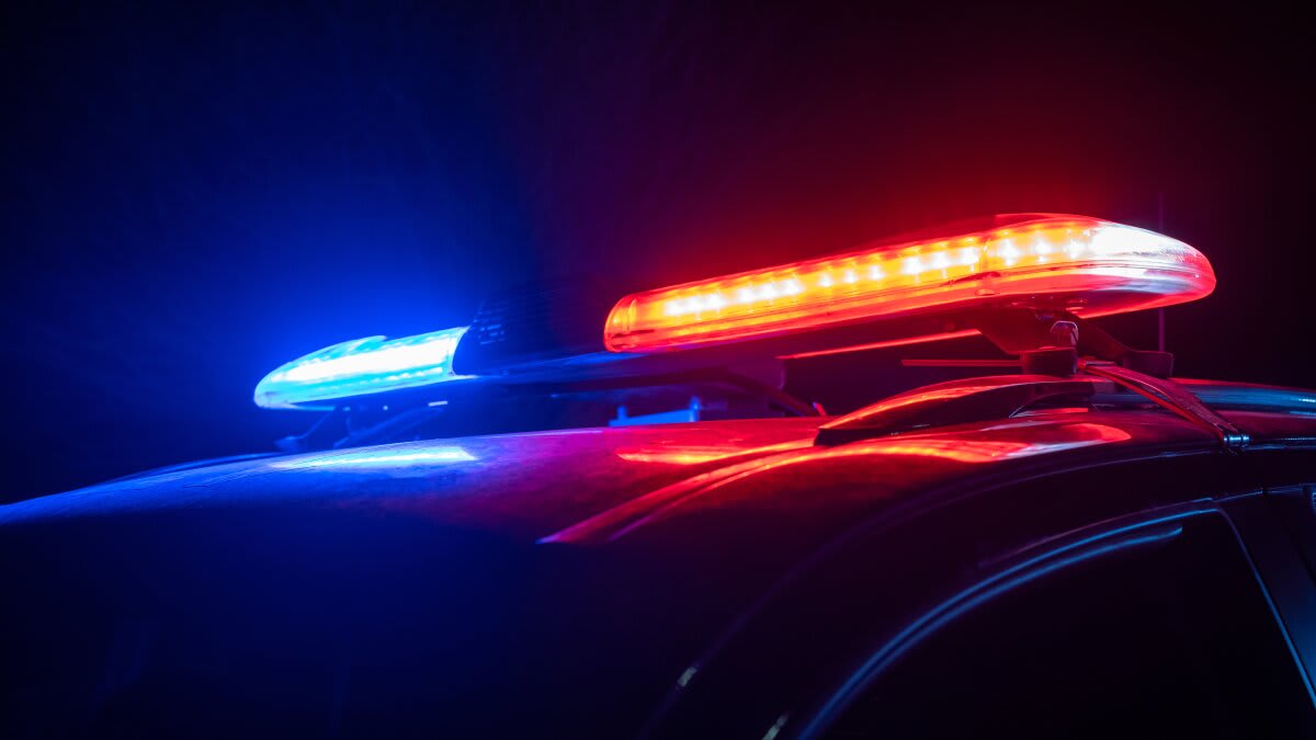 New AI Tool Helps Police Protect Domestic Violence Survivors - Image 2