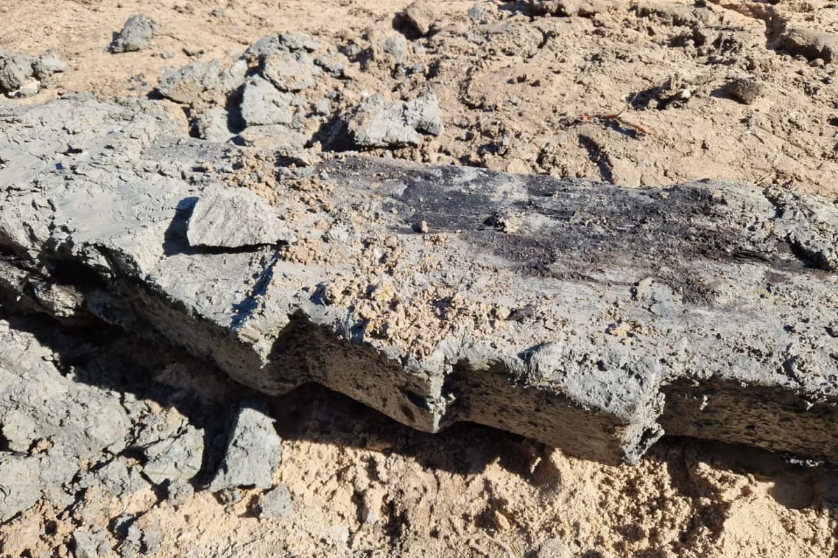 Dutch Workers Find 1,200-Year-Old Viking Ship Beam - Image 3