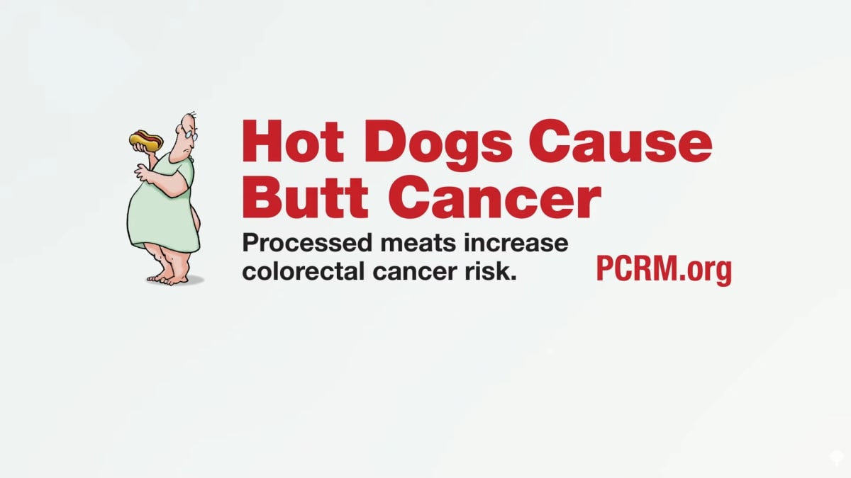 US Trans Fat Ban Saved Lives After 20-Year Battle - Image 2