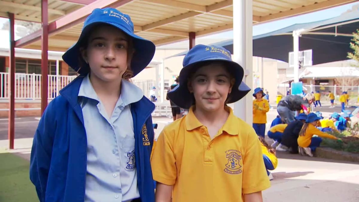 Sydney School Adopts Blue-Tongued Lizard as Reconciliation Totem - Image 3