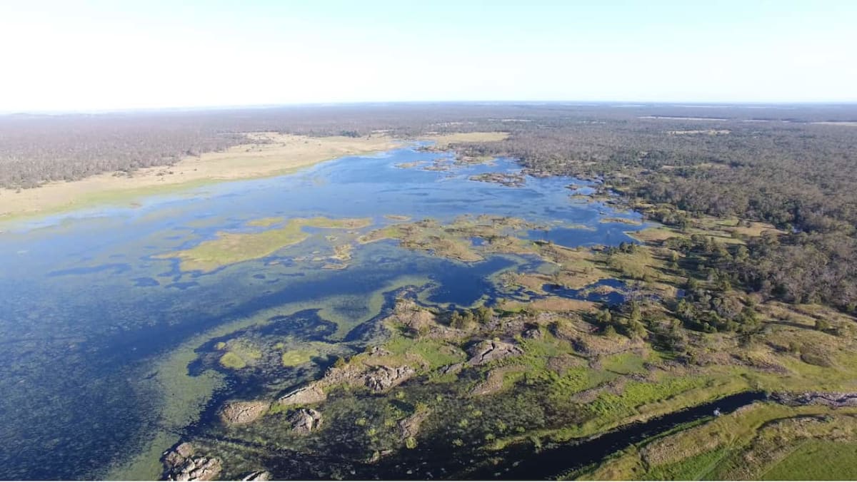 Indigenous Rangers Protect 115M Hectares Across Australia - Image 4