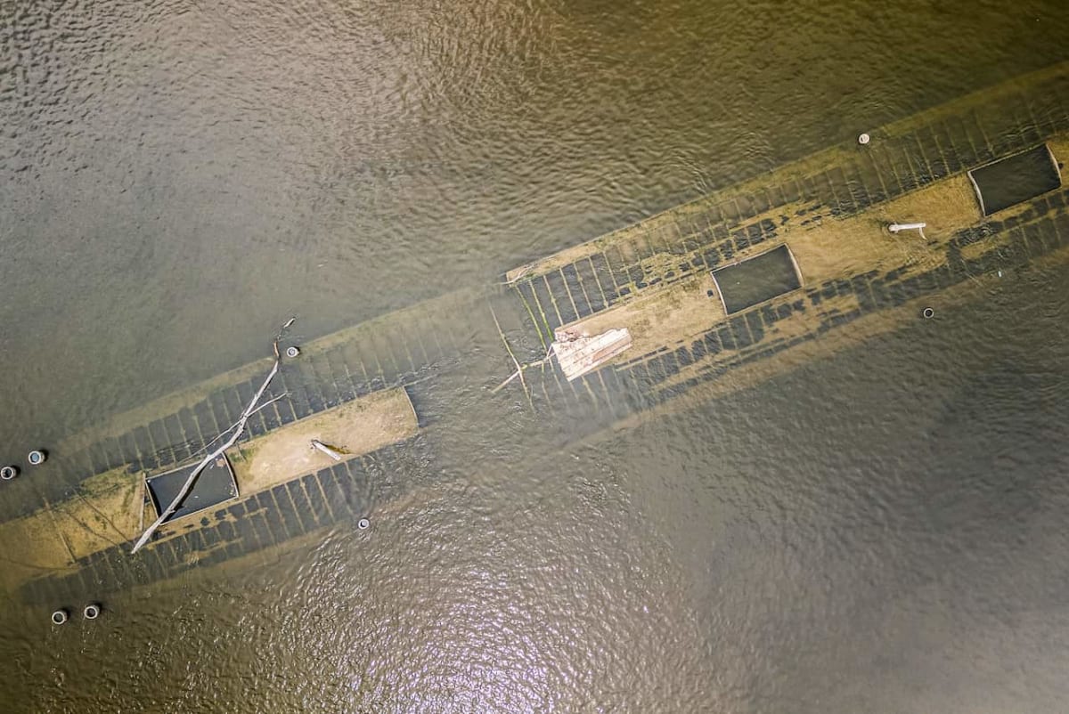 Danube Drought Uncovers WWII Ships and Mammoth Bones - Image 5