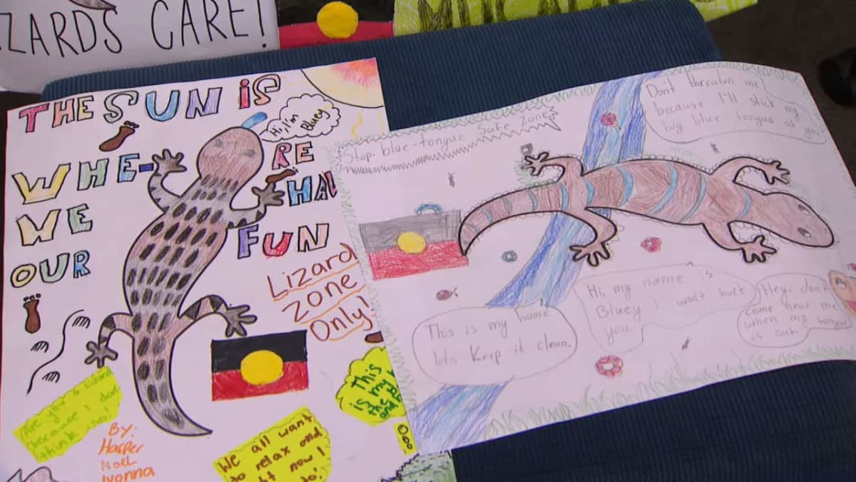 Sydney School Adopts Blue-Tongued Lizard as Reconciliation Totem - Image 4