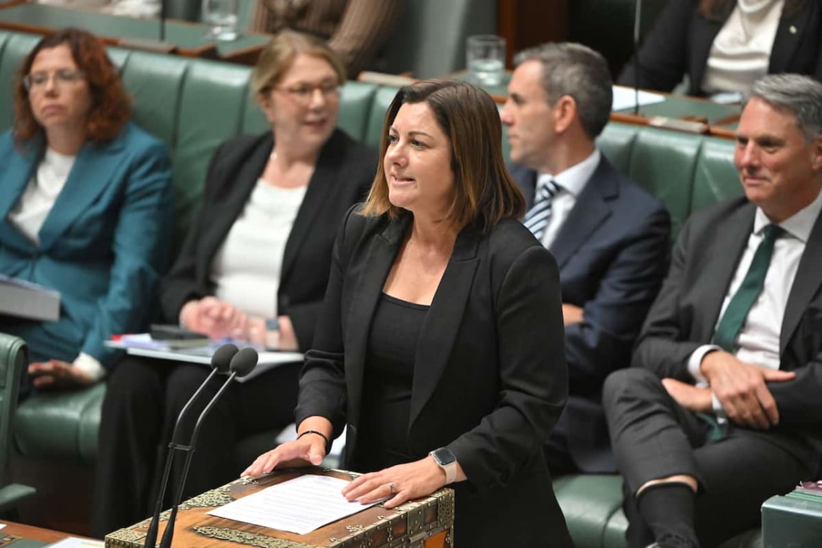 Australia Alert System Quietly Protects Domestic Violence Victims - Image 5