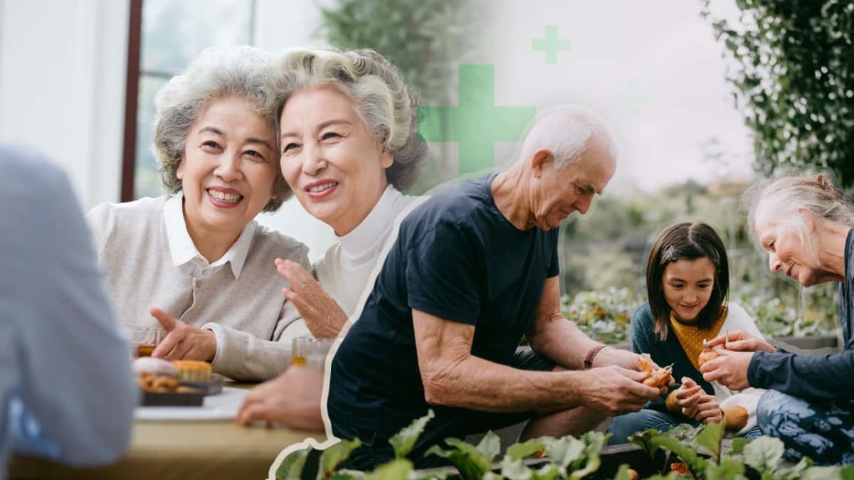 Smiling older adults socializing together in community gathering, showing connection and purpose