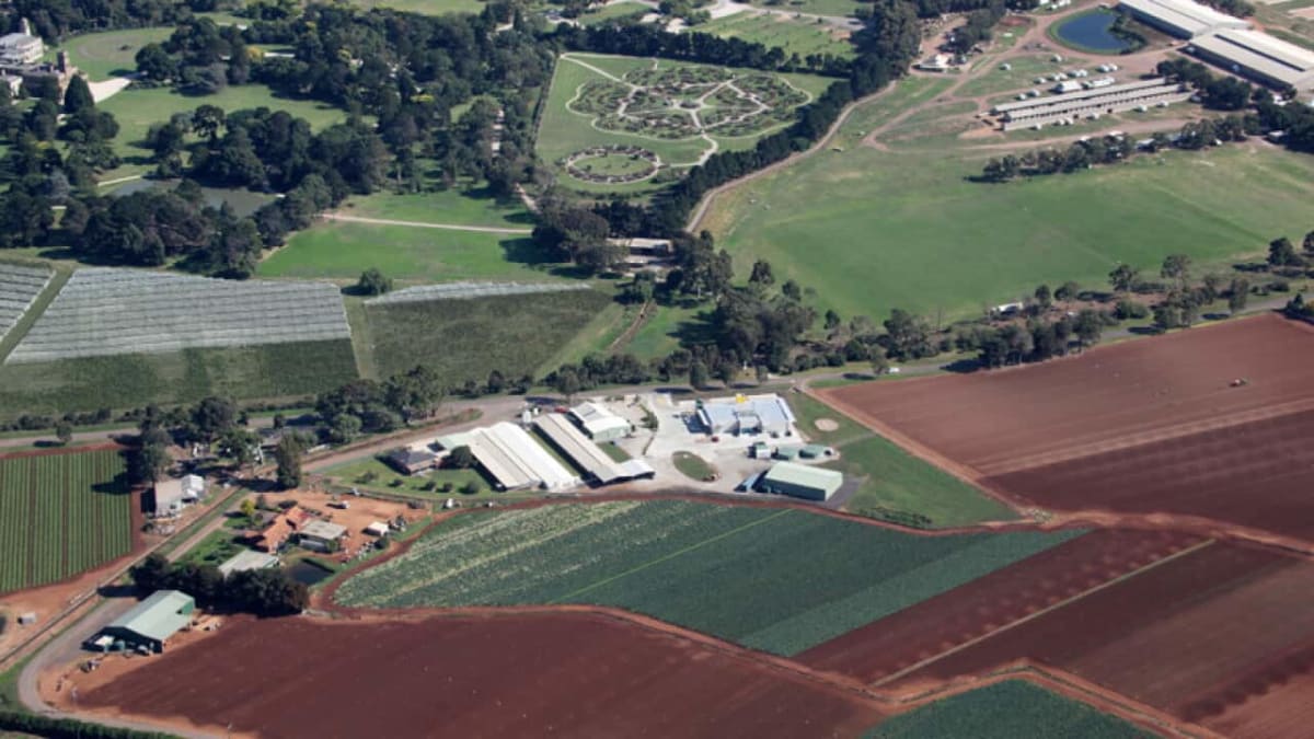 Farmer Brian Ahmed standing at gate of egg farm in Werribee South, Victoria