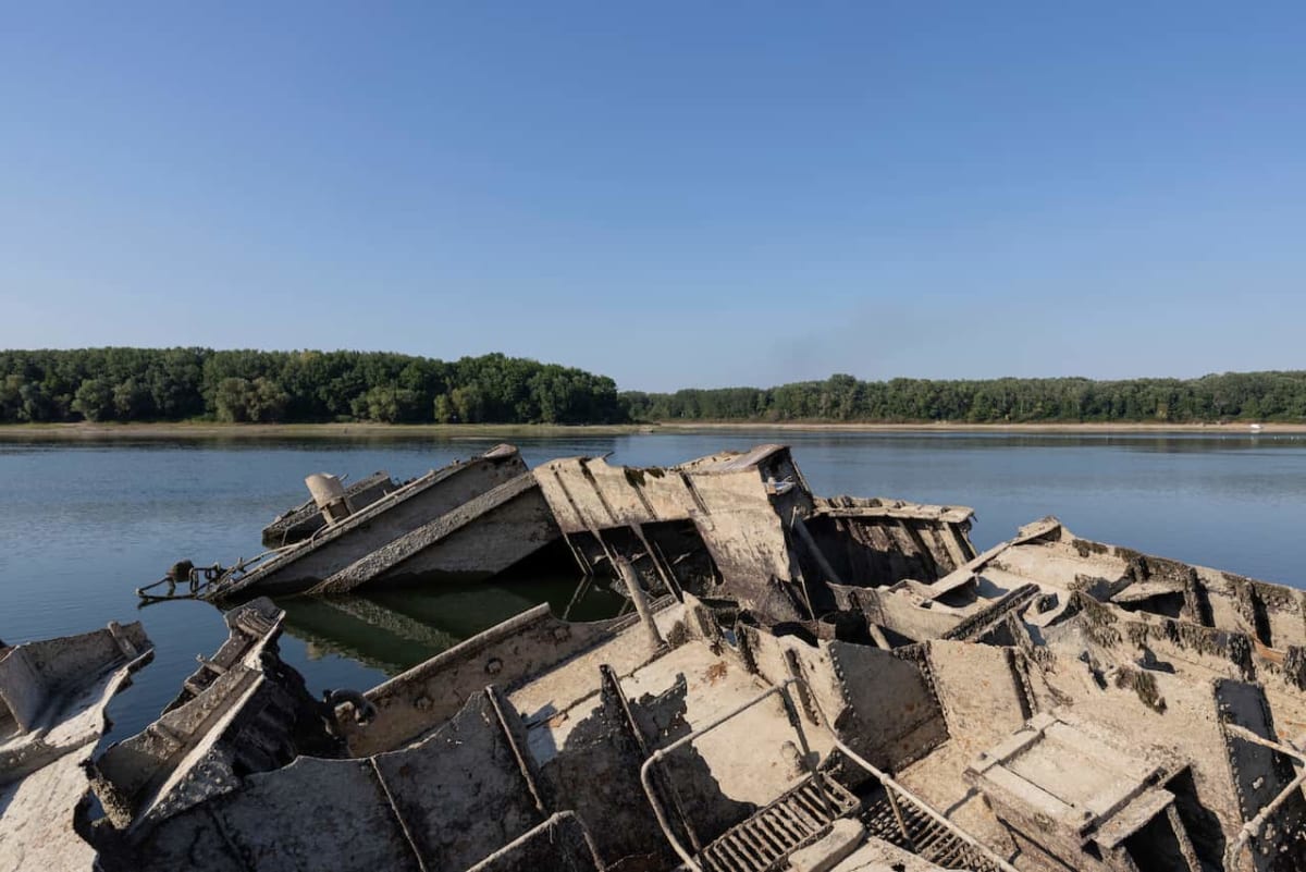 Danube Drought Uncovers WWII Ships and Mammoth Bones - Image 4