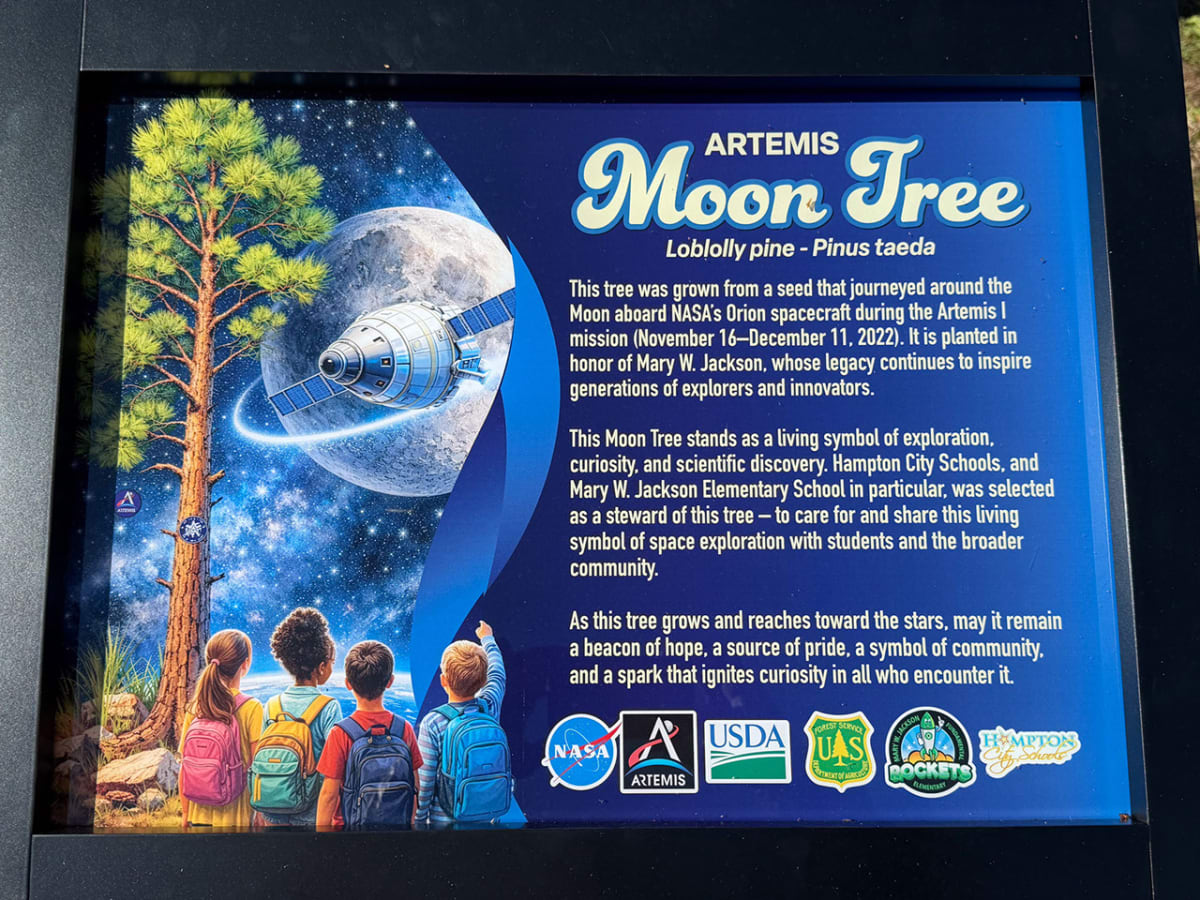 Sign marking the Artemis Moon Tree planted at Mary W. Jackson Elementary School in Hampton