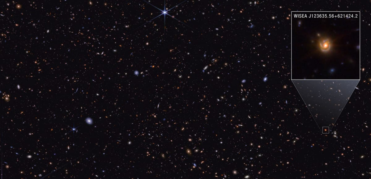 Webb Telescope Solves Mystery of Little Red Dots
