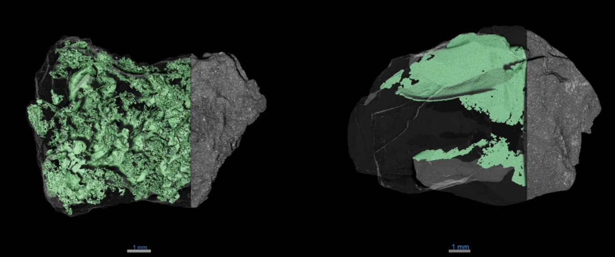NASA Solves Asteroid Bennu's Boulder Mystery