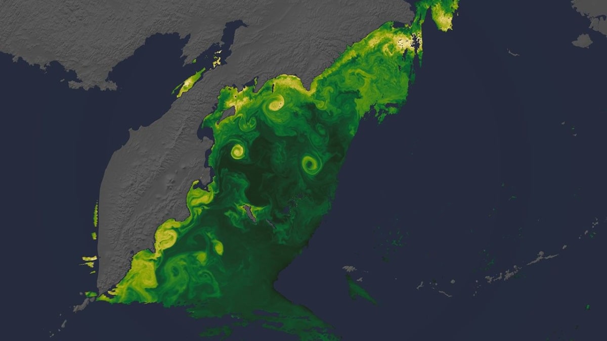 NASA and UNOS Partner to Test Drone Organ Delivery - Image 4