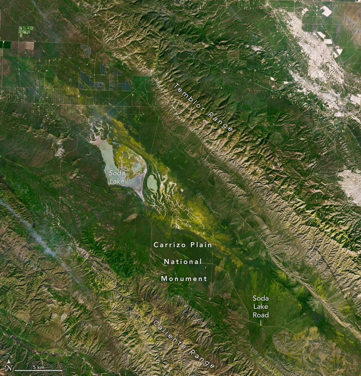 NASA Spots California Wildflower Superbloom From Space - Image 5