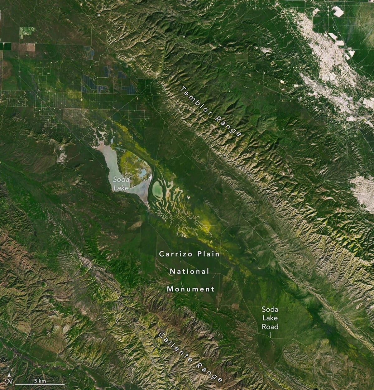 NASA Spots California Wildflower Superbloom From Space - Image 4