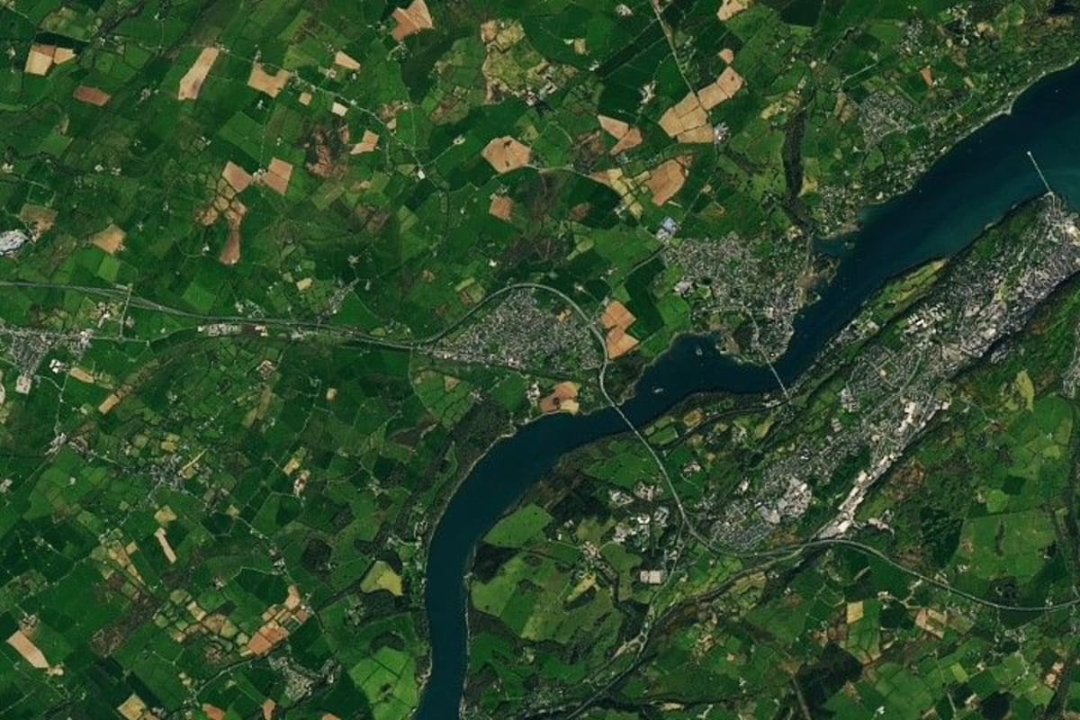 Giant Iceberg Sparks Massive Life Bloom in Atlantic Ocean - Image 3