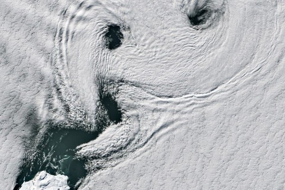Alaska Landslide Survivors Escape Unharmed in Fjord Tsunami - Image 3
