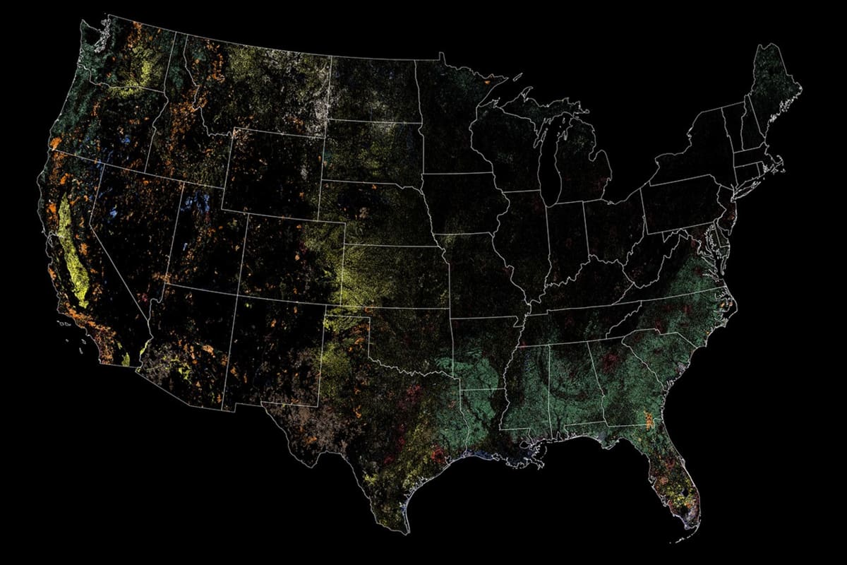 U.S. Human Land Development Drops as Nature Reclaims Space - Image 5