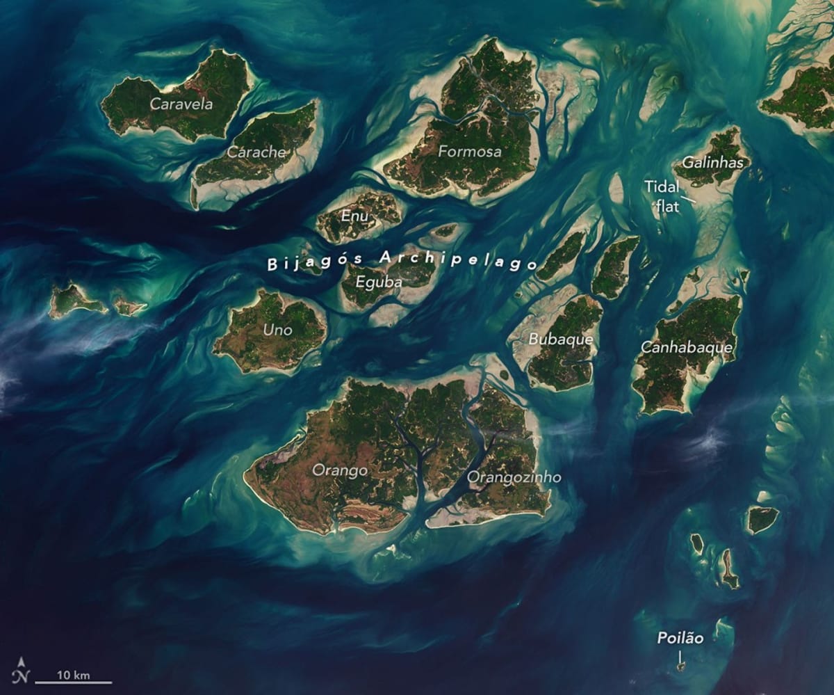 Guinea-Bissau Islands Named UNESCO Heritage Site for Wildlife - Image 4