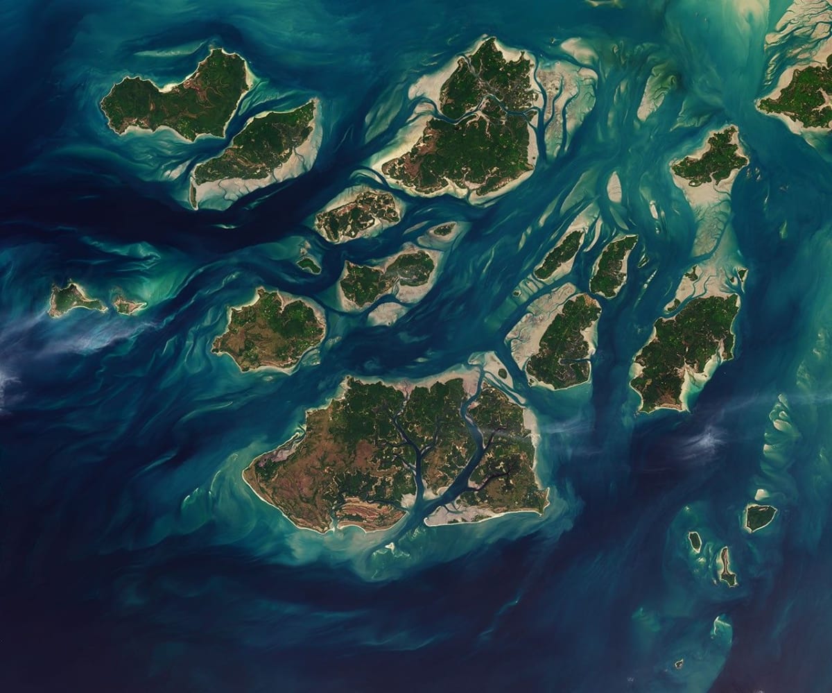 Guinea-Bissau Islands Named UNESCO Heritage Site for Wildlife - Image 5