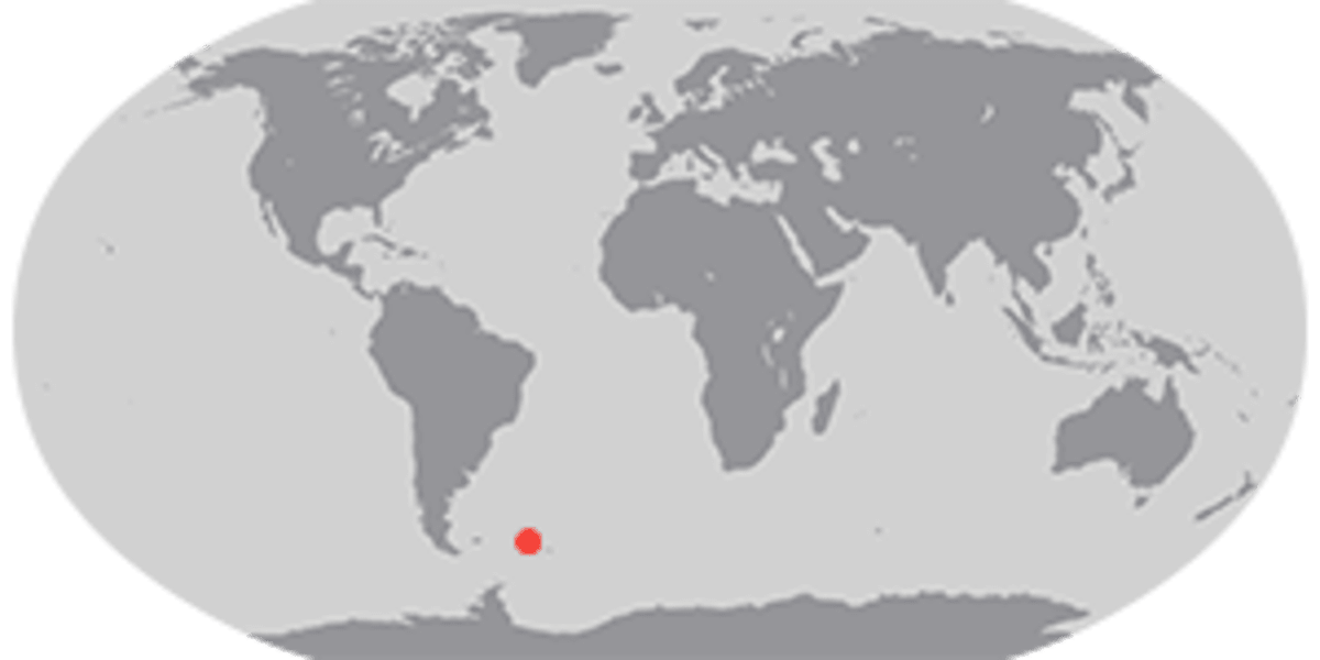 Giant Iceberg Sparks Massive Life Bloom in Atlantic Ocean - Image 2