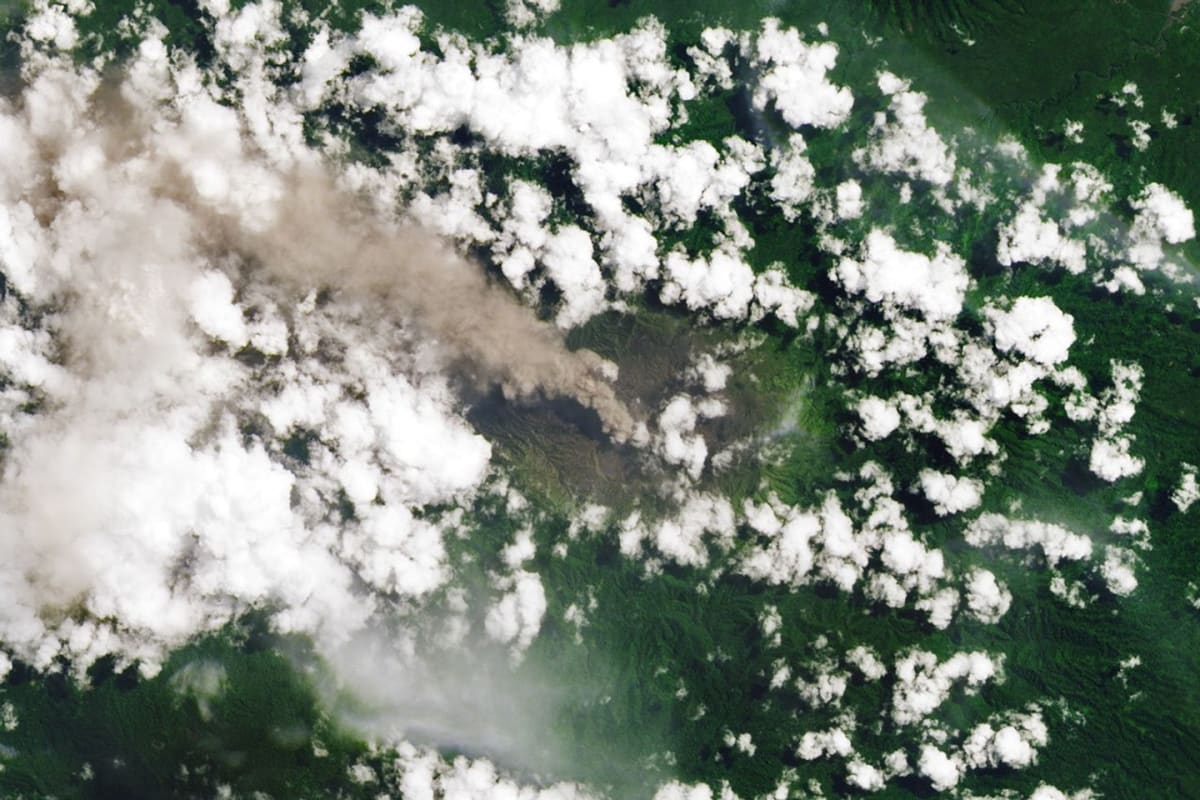U.S. Human Land Development Drops as Nature Reclaims Space - Image 3