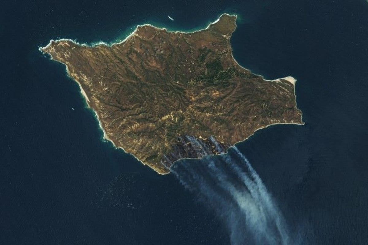 NASA's AI Detects Harmful Algae Blooms From Space - Image 3