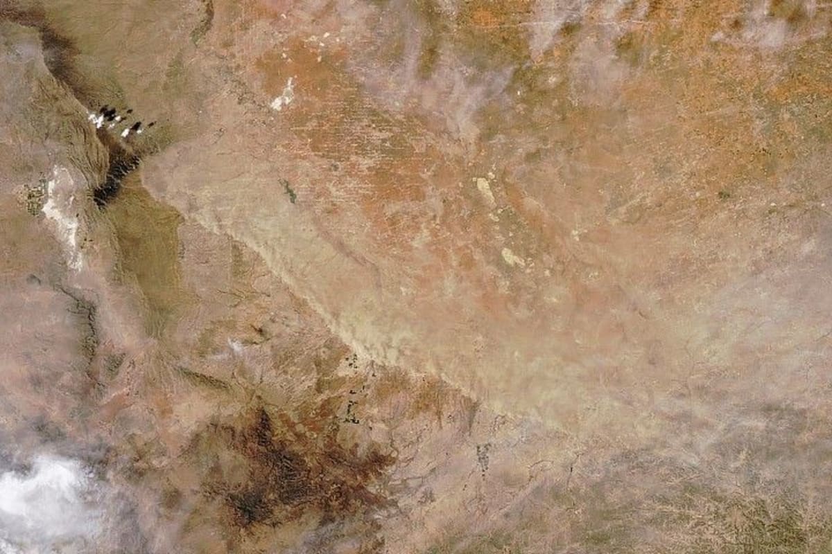 Australia's Red Desert Turns Green After Record Rain - Image 3