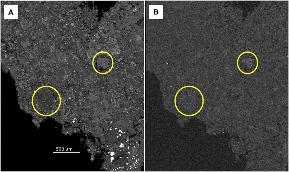 Meteorite Found Hours After Landing Reveals Life's Origins - Image 2