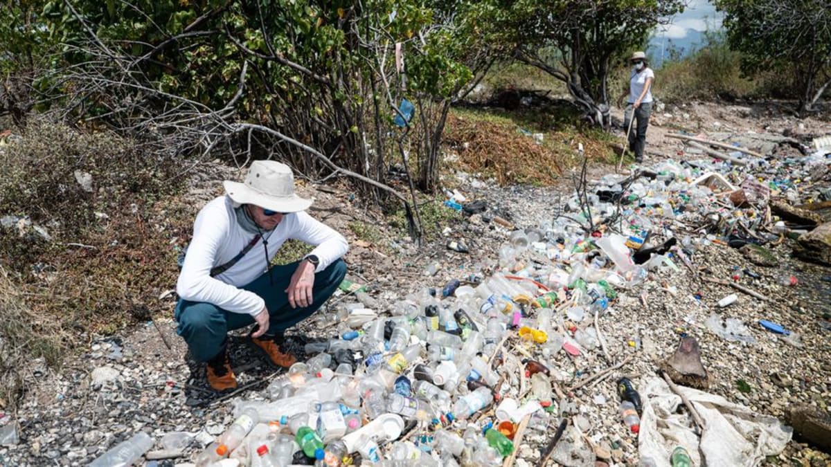 Ocean Cleanup Hits 100 Scientific Studies on Plastic - Image 3