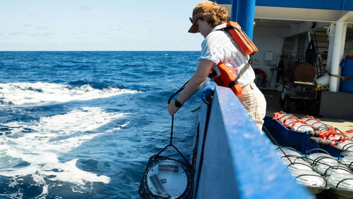 Ocean Cleanup Hits 100 Scientific Studies on Plastic - Image 2