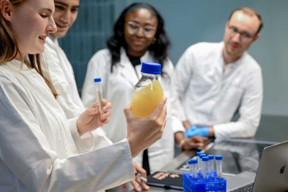 Germany Plans Alt-Protein Innovation Hub by 2027