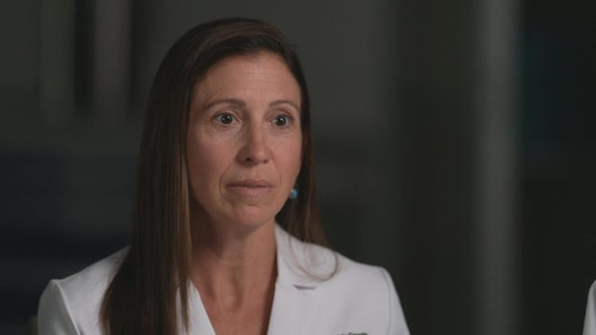 Dog Study Could Unlock Aging Secrets for Humans and Pets - Image 3