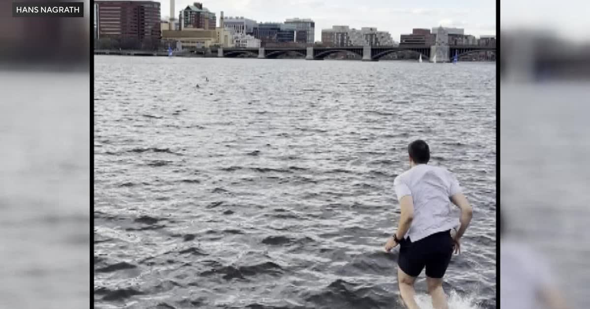 Boston Man and Dog Survive Icy River Rescue on Marathon Day