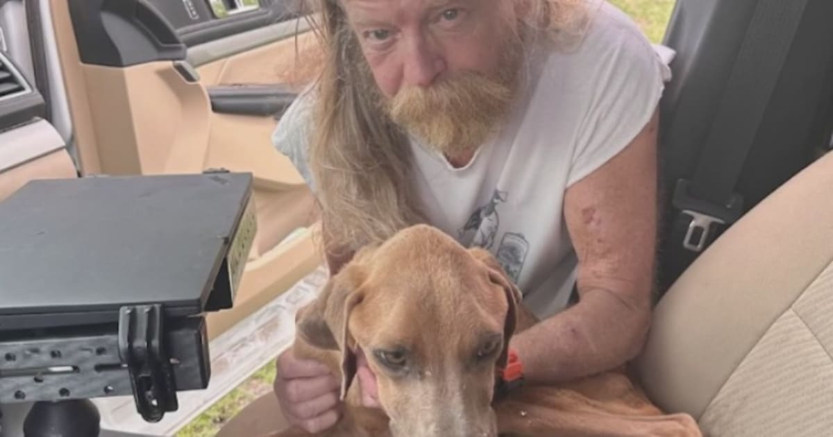 Texas Rescuers Save 6 Starving Dogs with Emergency Warrant