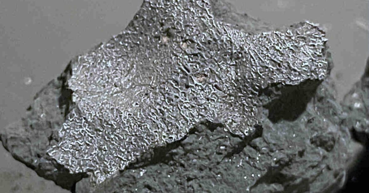 NJ Meteorite Contains Building Blocks of Life, Scientists Say