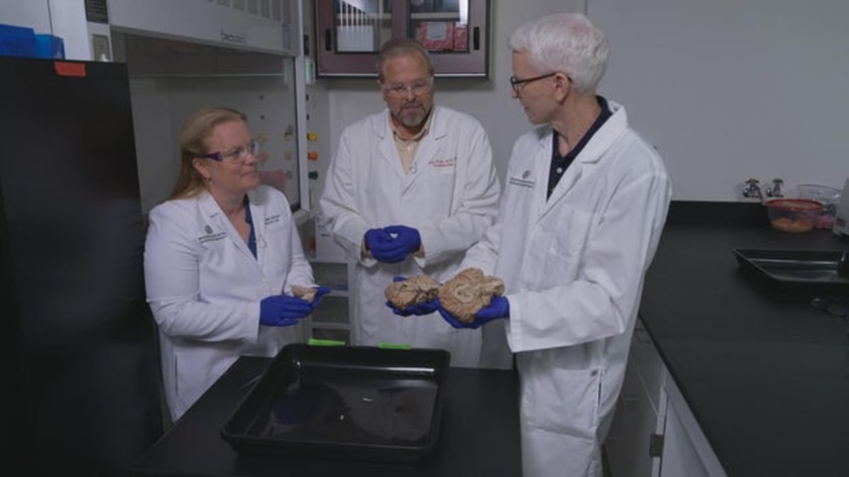 Dog Study Could Unlock Aging Secrets for Humans and Pets - Image 5