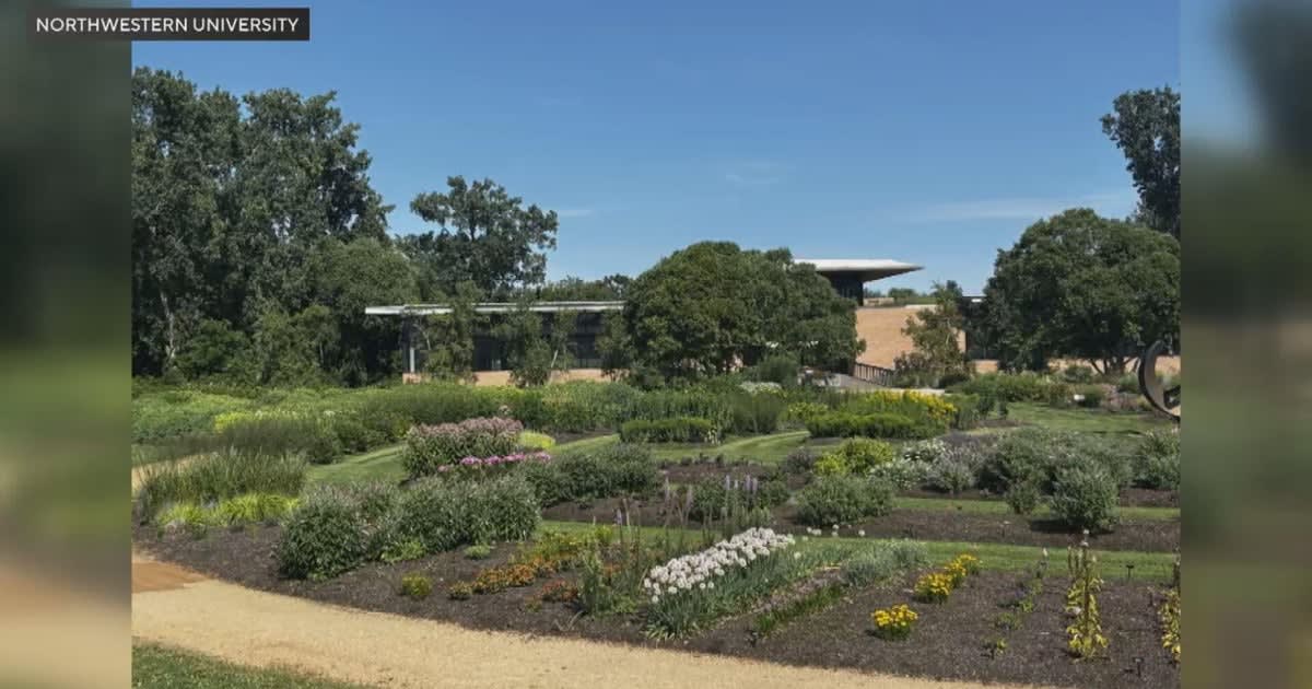 Pretty Gardens Can Feed Pollinators Too, Study Finds