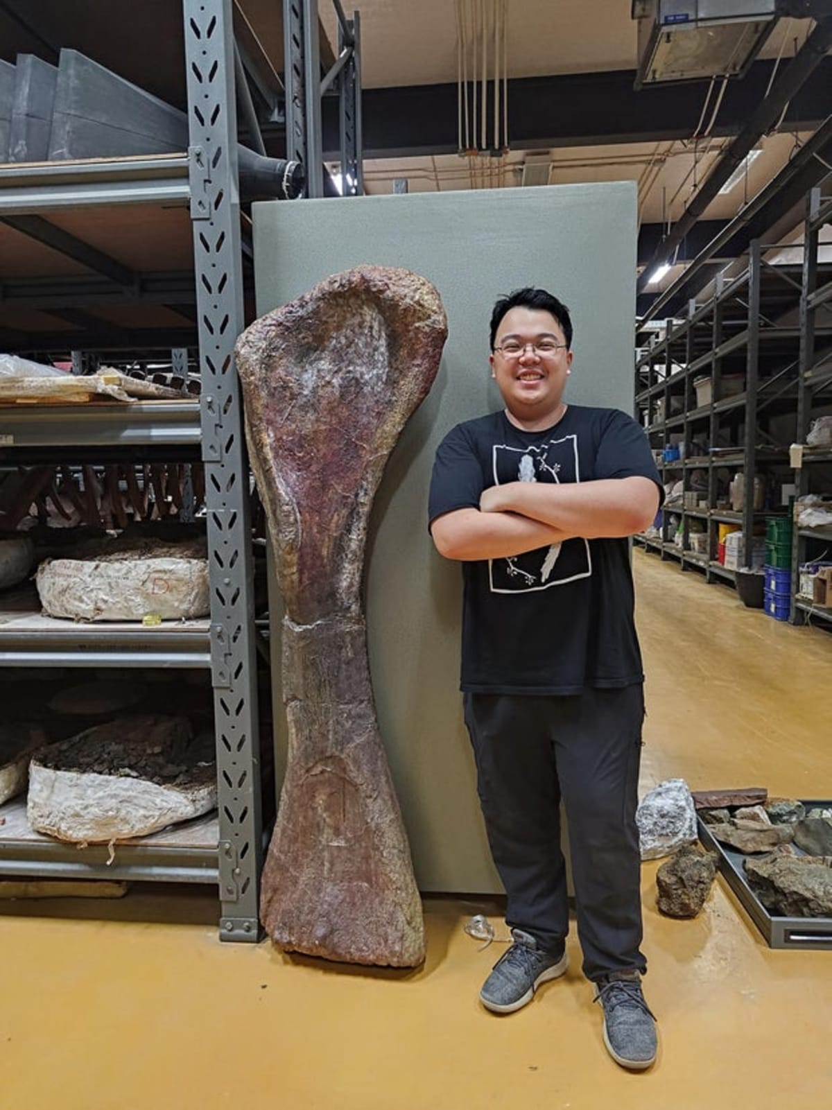Thailand Unveils Giant Dinosaur as Big as 9 Elephants - Image 3