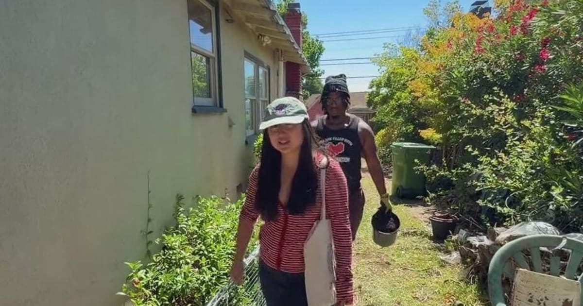 Students Save Native Butterfly Habitat at UC Berkeley