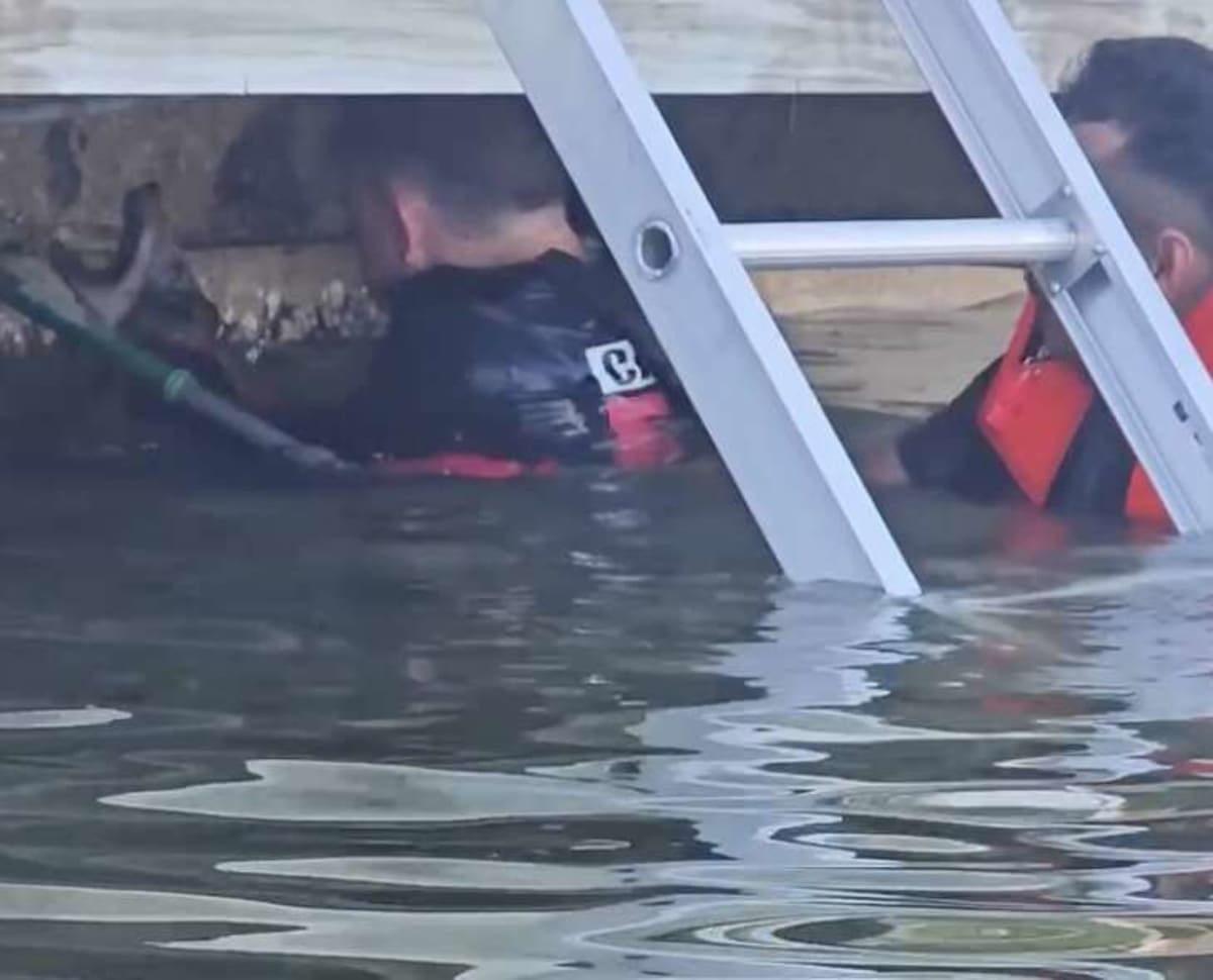 Florida Firefighters Rescue Drowning Coyote Pup From Lake - Image 4