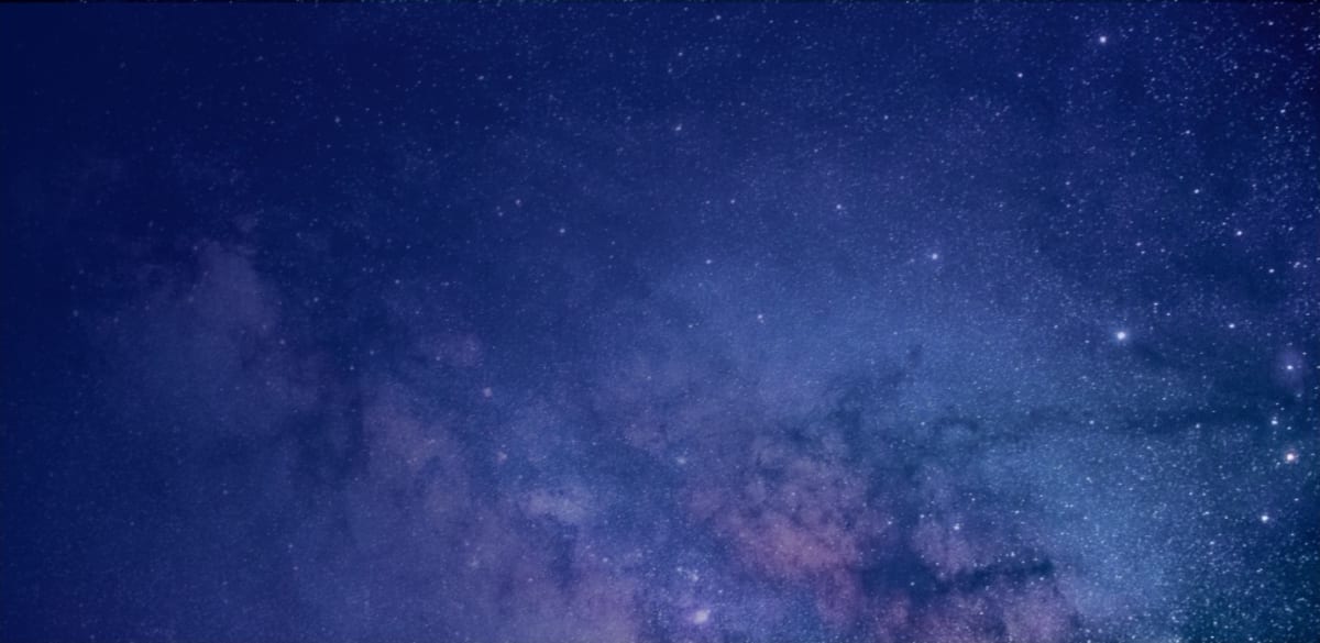 Ancient Fossils Push Animal Evolution Back 4 Million Years - Image 4