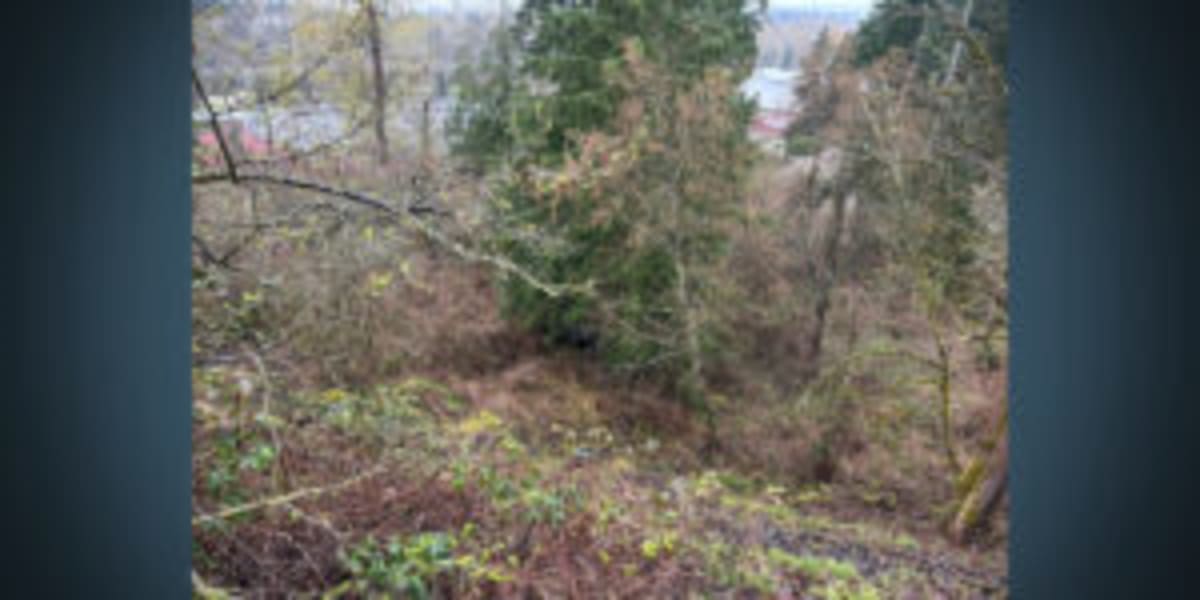 Firefighters Free Trapped Teen, Rescue 3 River Floaters - Image 5