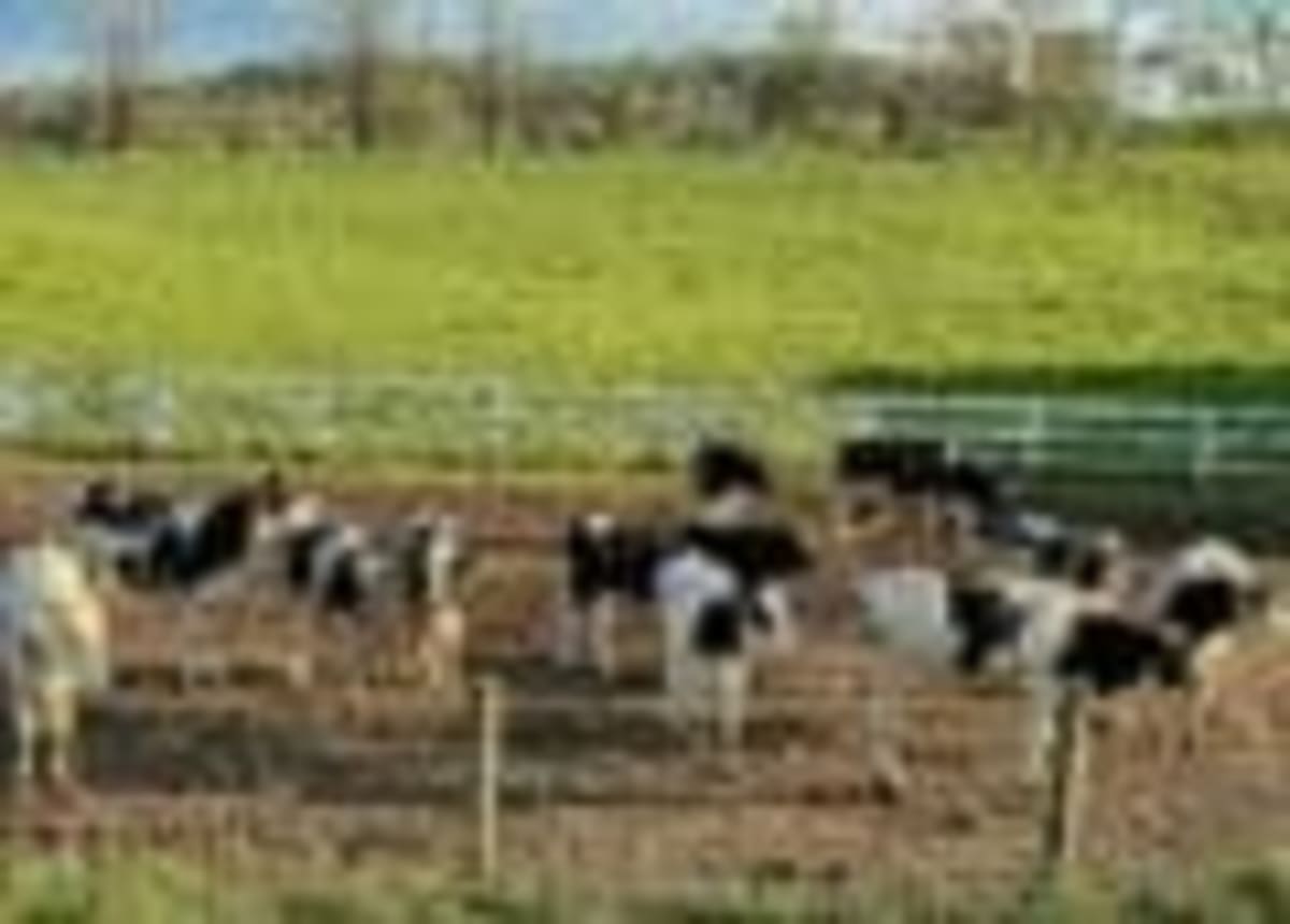 LA Port Turns Ocean Waves Into Power for 60,000 Homes - Image 2