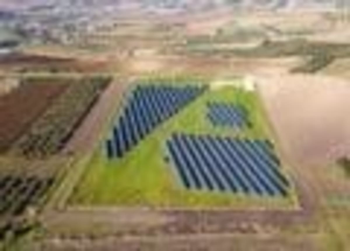 Solar Farms Triple Bird Populations in UK Farmlands - Image 3