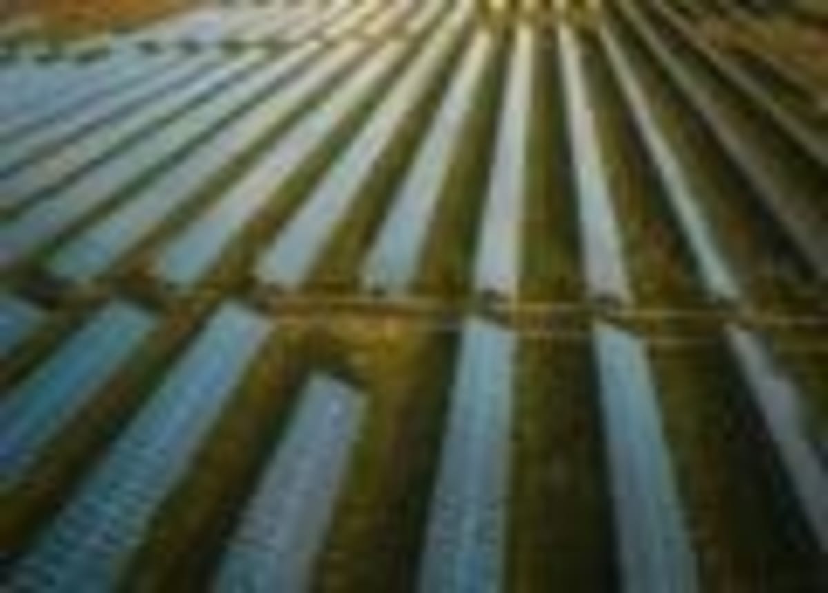 Solar Farms Triple Bird Populations in UK Farmlands - Image 4