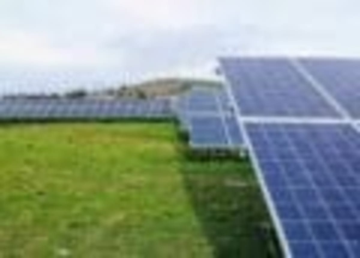 Solar Farms Triple Bird Populations in UK Farmlands - Image 2